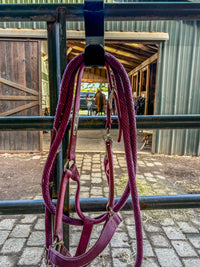 Portable Rail Hook for Horse Tack