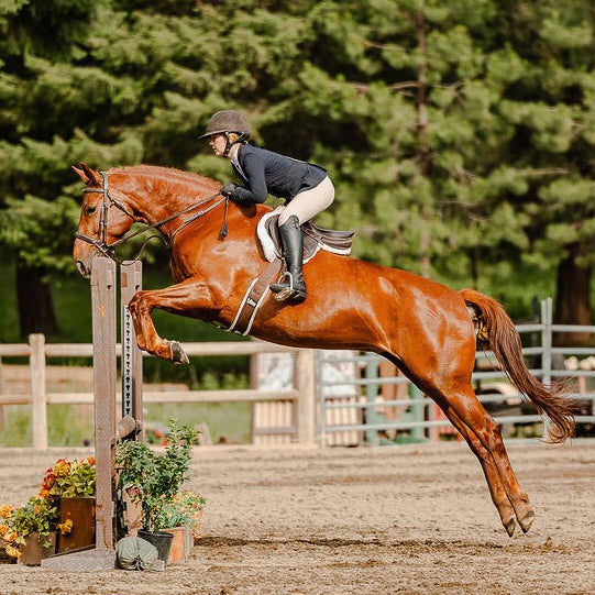 Custom HoofPrint 3D Model - From picture to 3D model