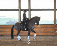 Custom HoofPrint 3D Model - From picture to 3D model