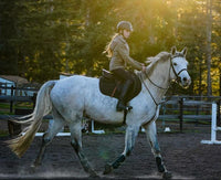 Custom HoofPrint 3D Model - From picture to 3D model