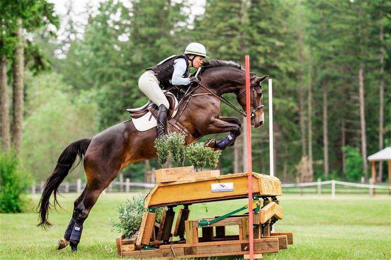 Custom HoofPrint 3D Model - From picture to 3D model